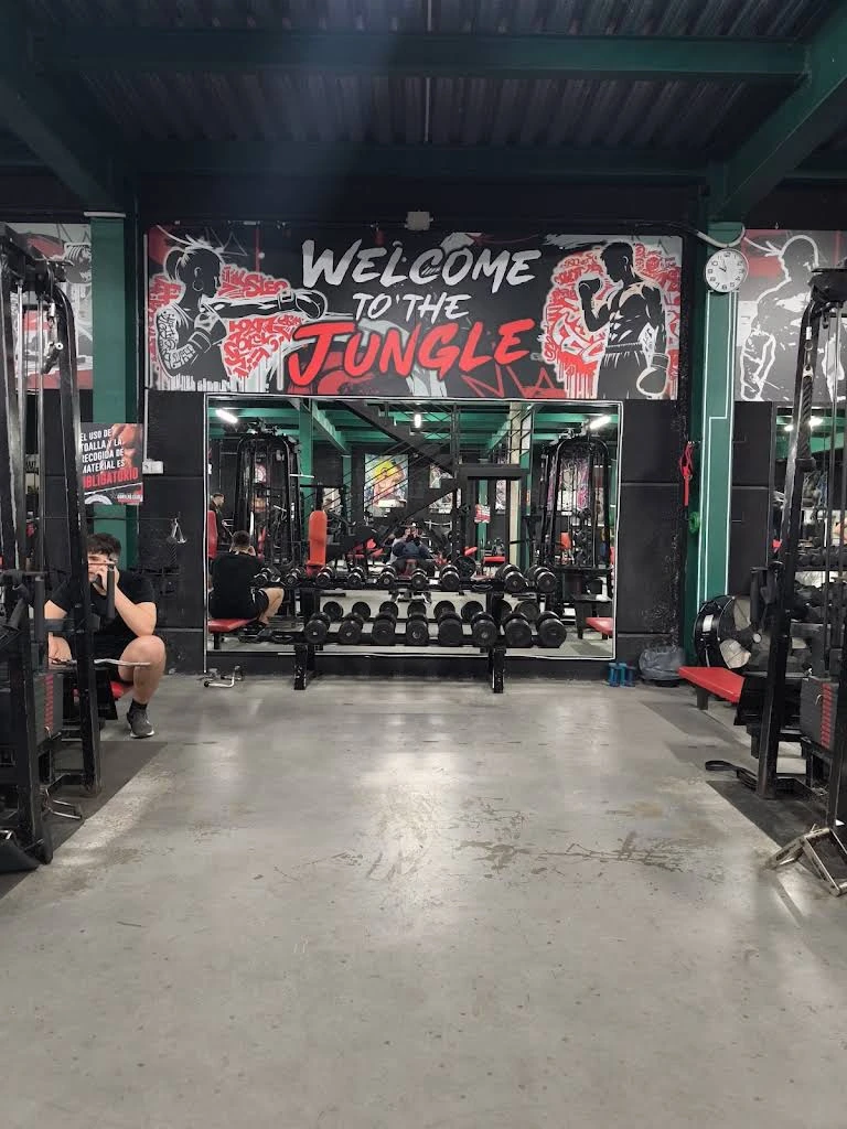 Sala de musculación de Gorillas Gym Club con máquinas, mancuernas y el mural Welcome to the Jungle, en una foto publicada en Google en enero de 2026