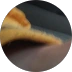 Imagen de perfil de Pajaroh ola q ase